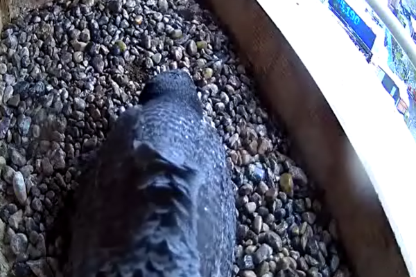 04-27-2026 weathering the storm