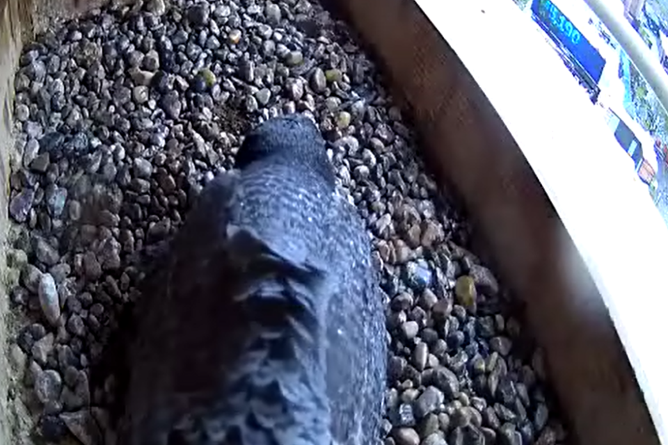 04-27-2026 weathering the storm